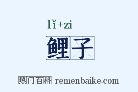 鲤子是什么意思的图片